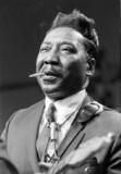 Muddy Waters - Blues Liedtexte